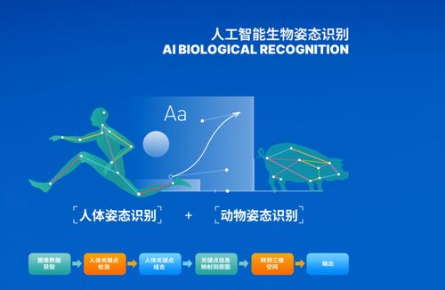 博拉网络携多款大数据AI应用 亮相2021重庆智博会